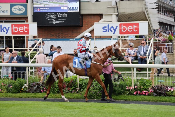 yr24072021r5-30 - Race 5 4.25pm Sky Bet Best Odds Guaranteed Stakes