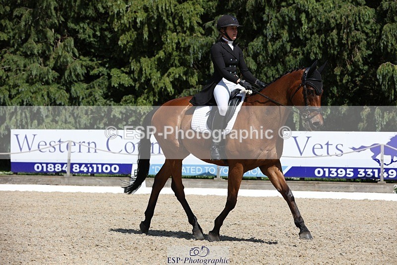 230526-150103-06602 - 377-GOLD_NUGGET-Jillian_Giessen-WEDTrotUp+DR