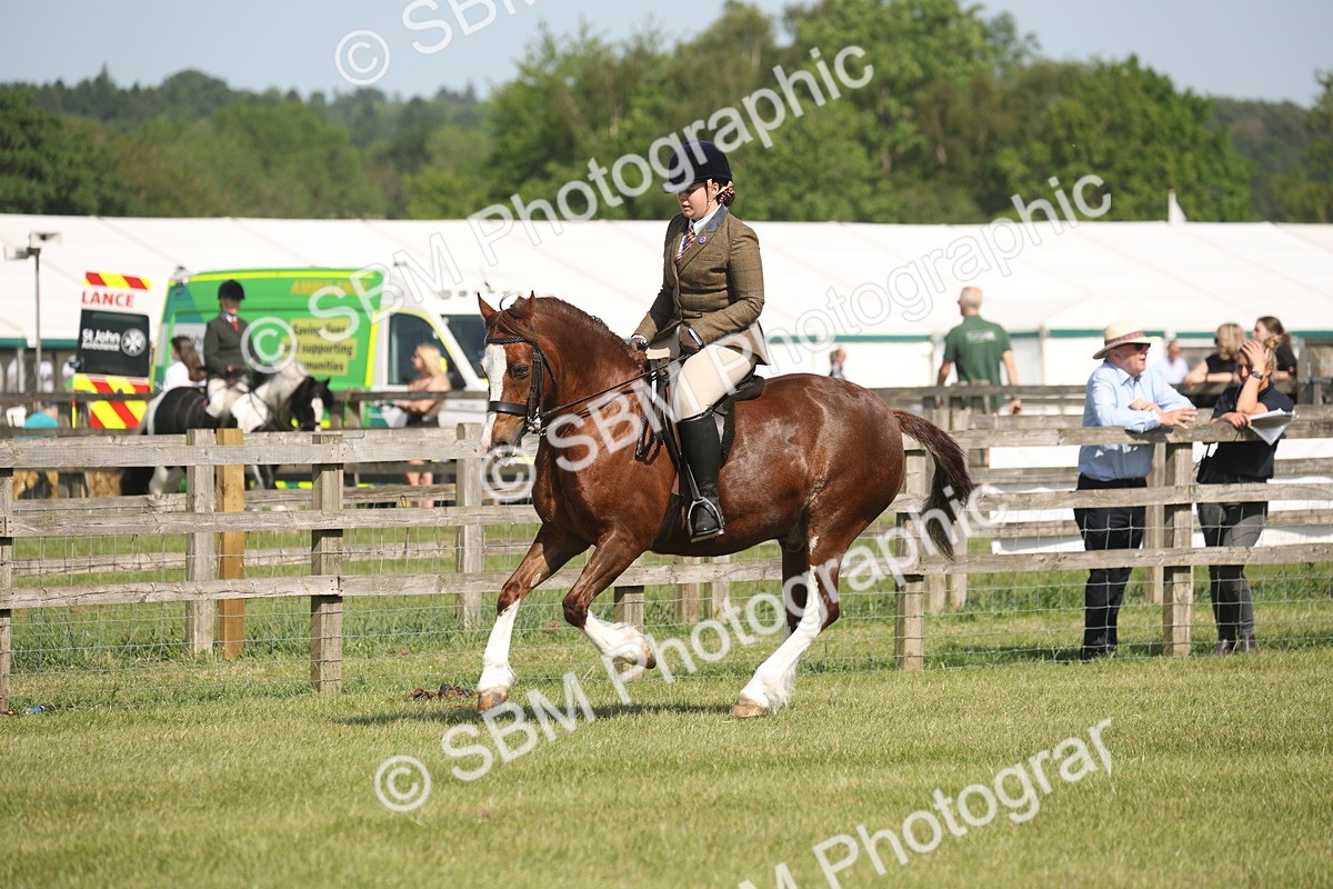 SBM_09582 - Class 33-38 - SSADL RIHS Qualifiers