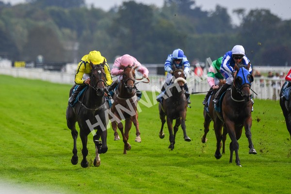 100923-Race 4-Tropical Island-0753 - Race 4 3.15pm Edge Windows Nursery Handicap at York