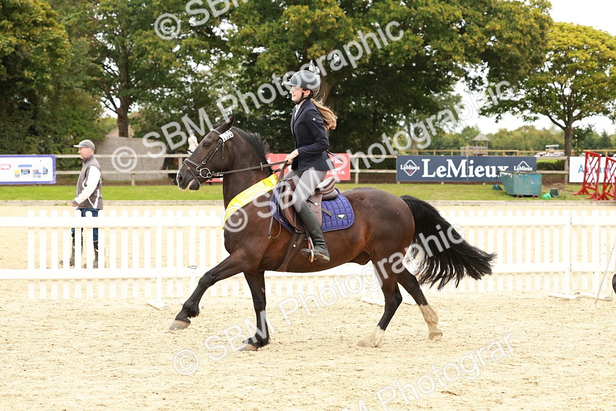 SBM_63936 - J12 - Junior Pony 55cm Championship