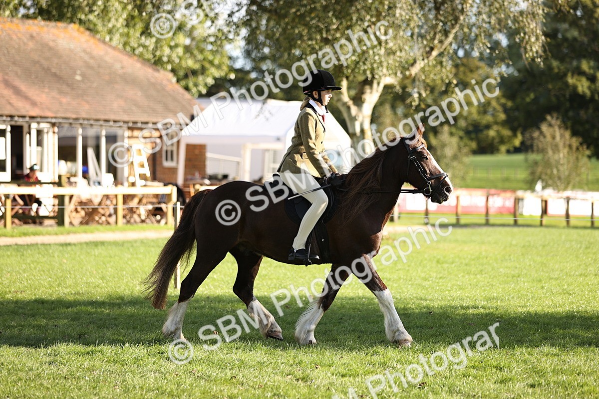 SBM_29326 - S7 - Novice & Newcomers Ridden Pony