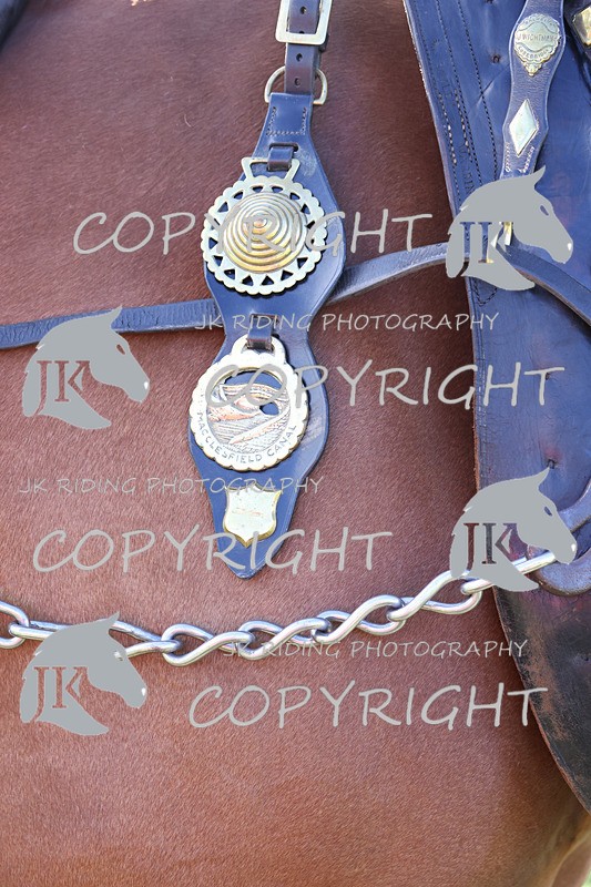 APP_4064 - Class 19 Fancy dress