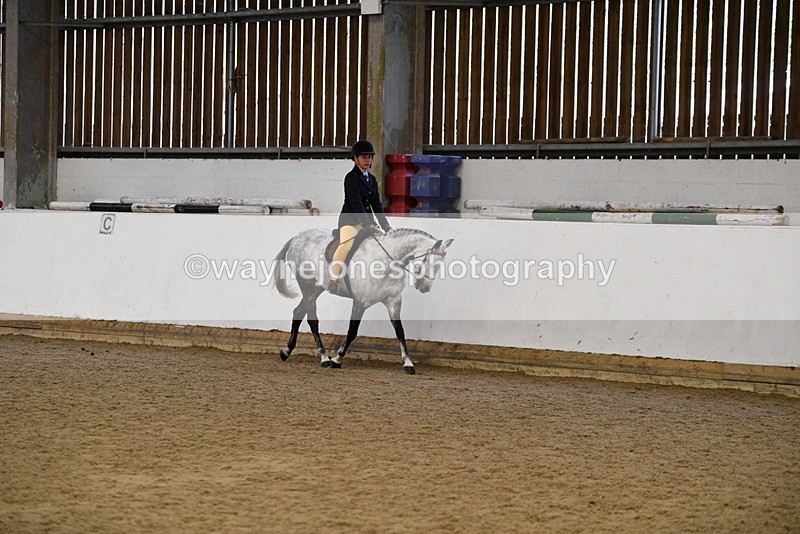 WJ5_7702 - Class 13 Ridden Part Breed