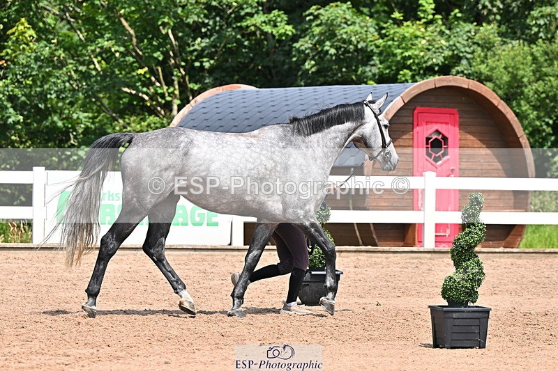 240718A-105301-01454 - Trot Up 12pm to 1pm