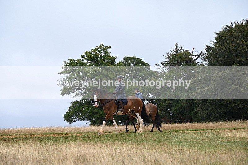 DSC_2010 - Time at Statue 12:13 to 12:32