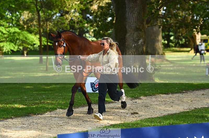 230524-171828-01422 - 177-ARGENTINO_BK-Dani_Evans-WEDTrotUp+DR