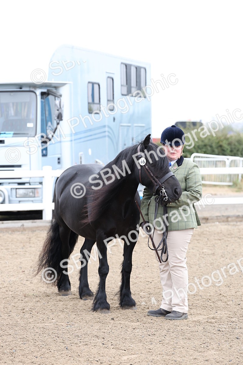 SBM_00048 - Class 50 - Best Turned Out IH