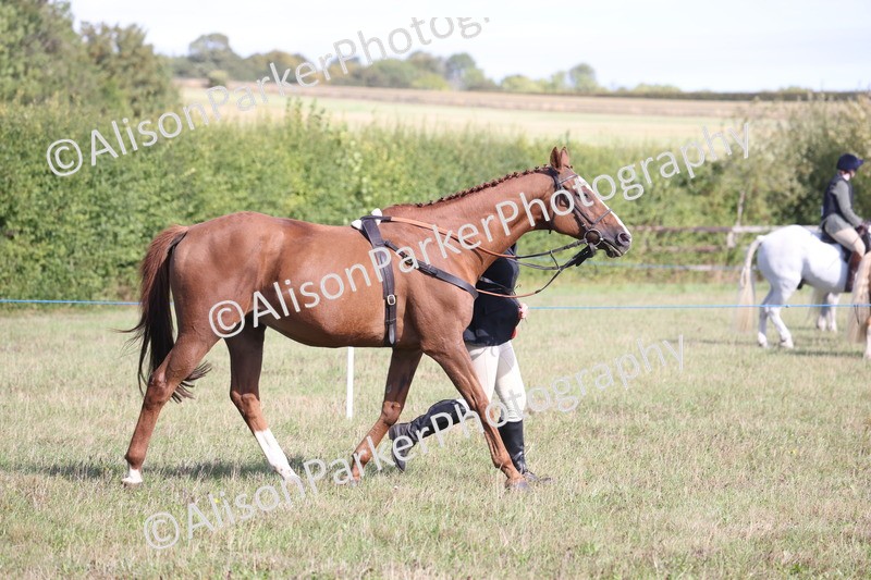 20260906-0746 - Class 22 - Ex Racehorse