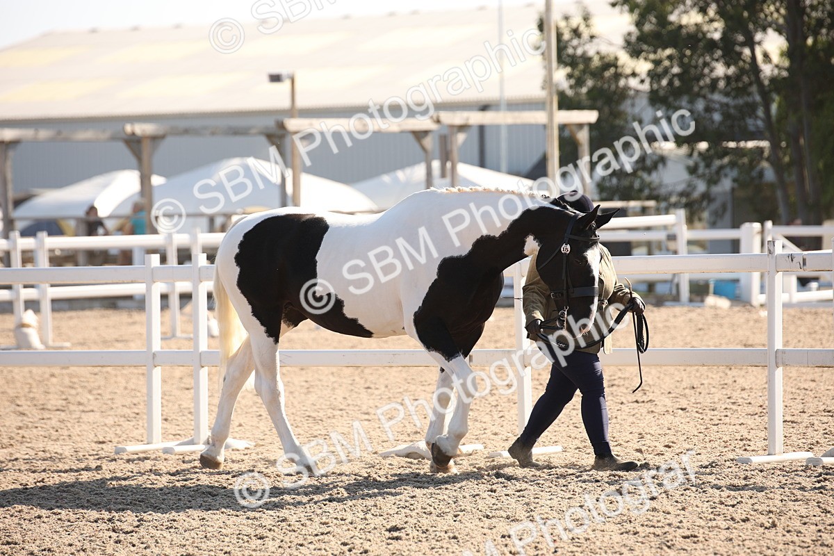 SBM_01434 - Class 15 IH Coloured