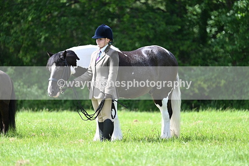 WJ7_1433 - Class 11 Condition & Turnout