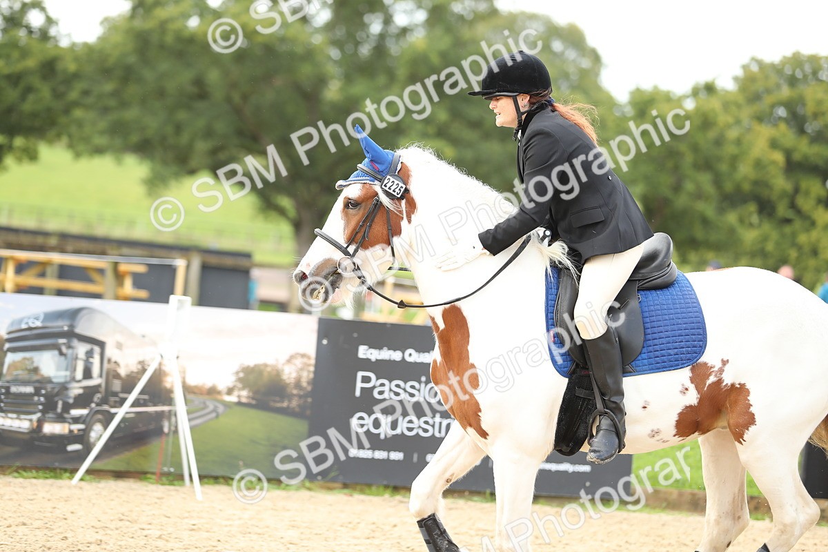 SBM_02032 - J34 - Veteran Rider 50cm