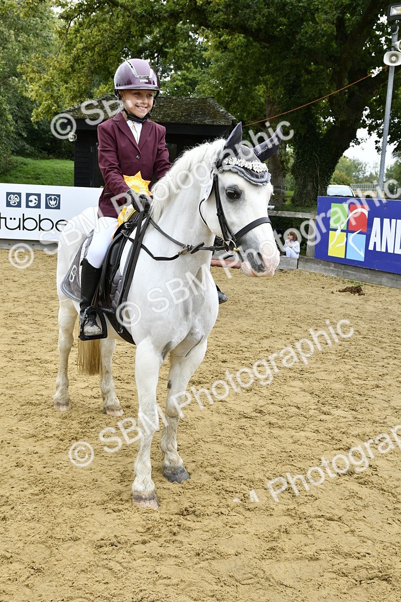 SBM_66202 - J2a mini Tour Junior Pony 30cm Championship