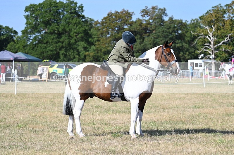WJ7_2960 - Class 8 Ridden Tack & Turnout