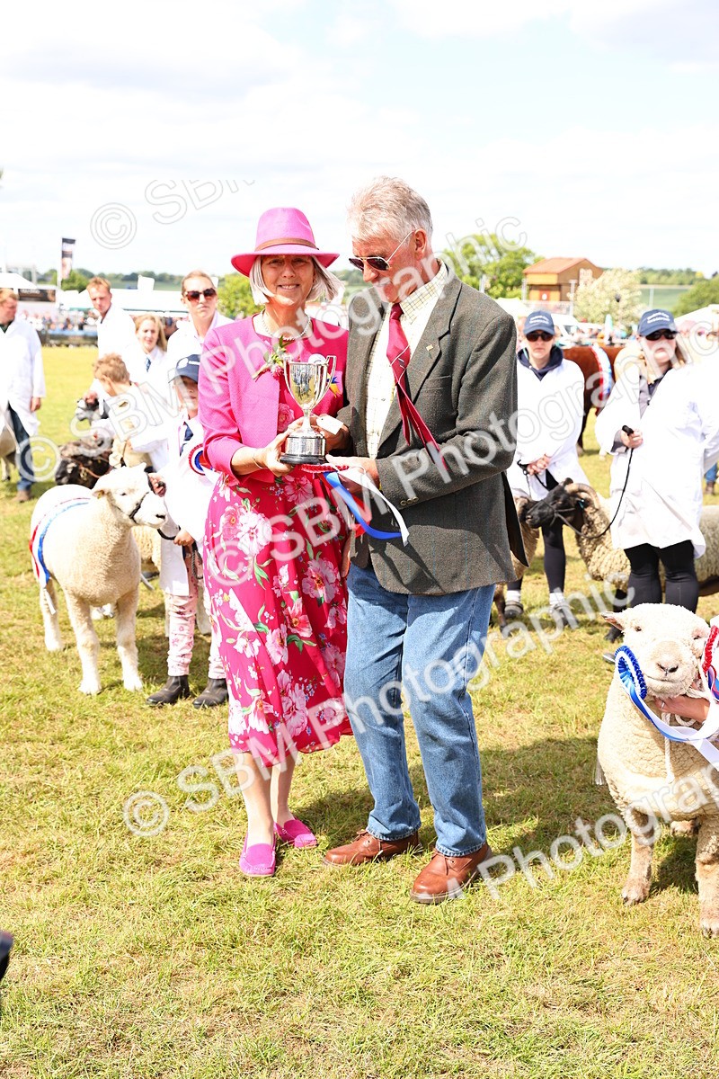 SBM_17005 - Grand Parade