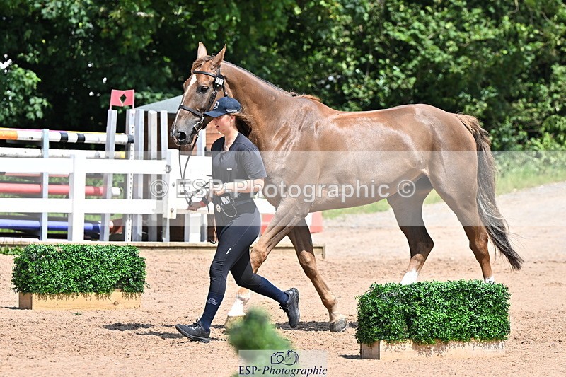 240718A-105311-01666 - Trot Up 1pm to 2pm