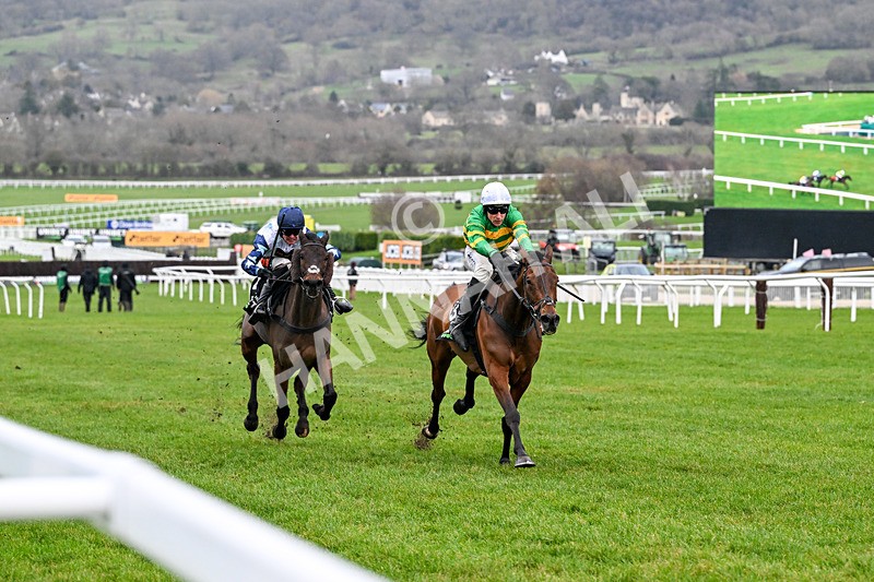 240126-Race 6-The New Lion-7466 - Race 6