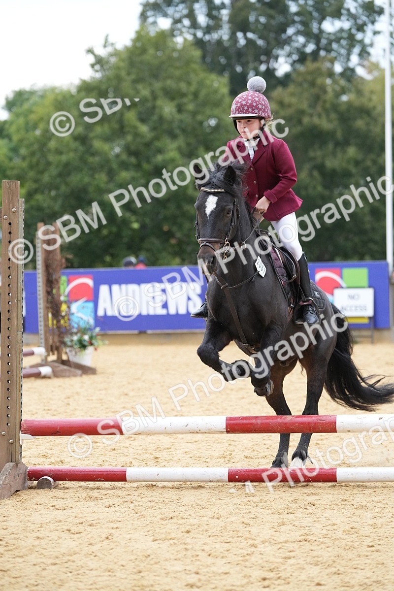 SBM_74566 - J4 - Mini Tour Junior Pony 45cm Championship