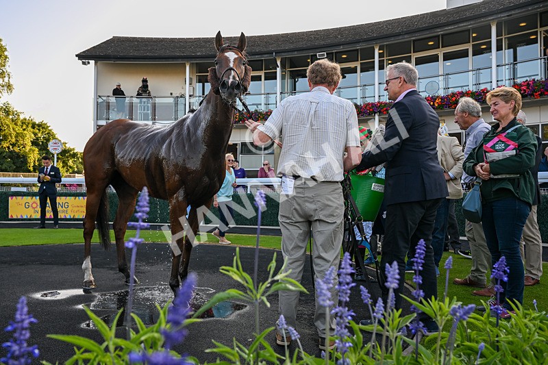 200726-Race 2-Opal Storm-3134 - Race 2 19.00pm Happy Birthday Katie Exon Handicap