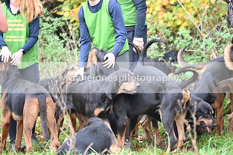 WJ6_8588 - Meet