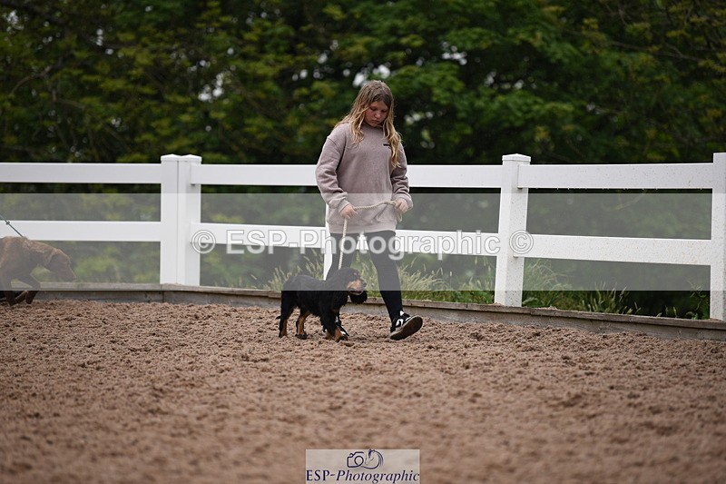 240518A-124748-01200 - Cls 5 Best Purebred