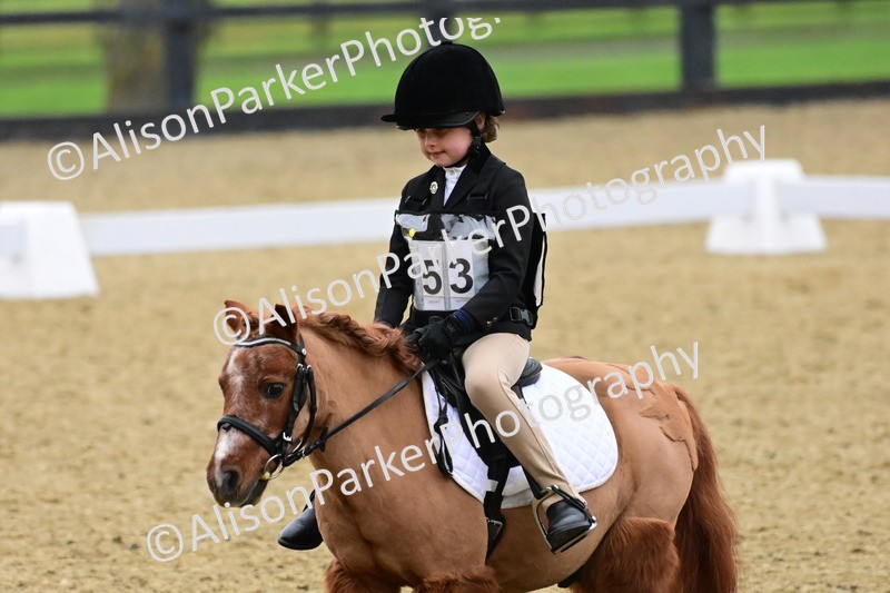 20260125-0560 - Class 9b - Walk Trot Unassisted