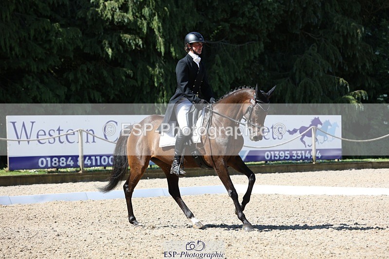 230526-102404-05246 - 361-FINCH_FANCY-Ben_Lee_Liles-WEDTrotUp+DR