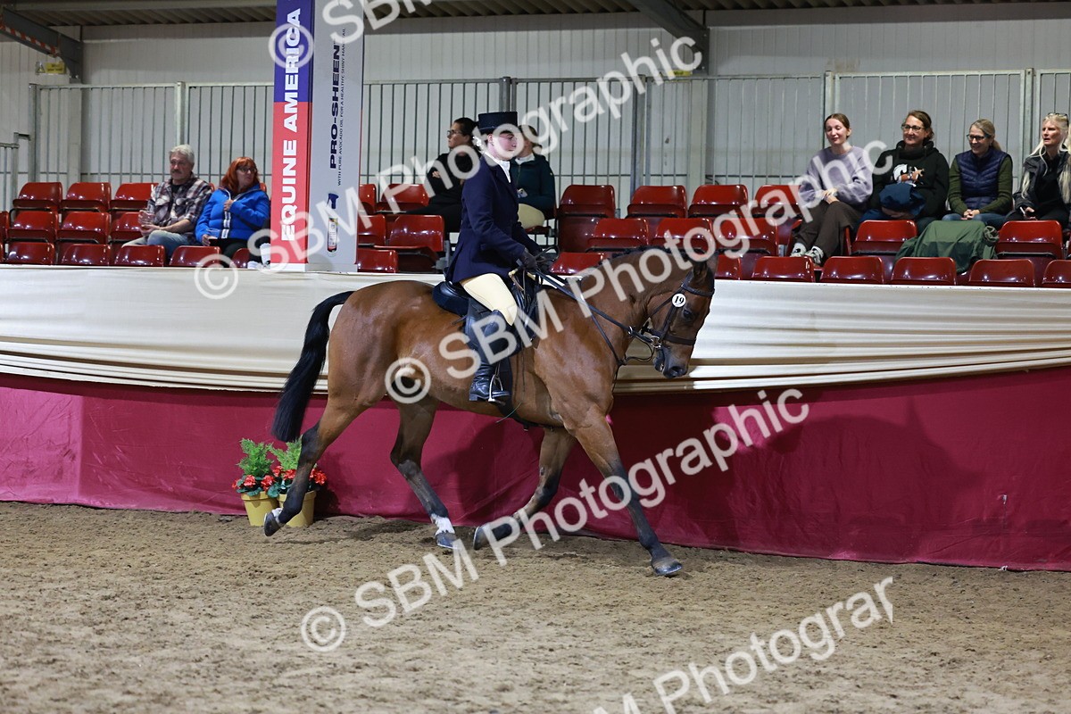 SBM_21346 - Class T - Working Veteran Champs