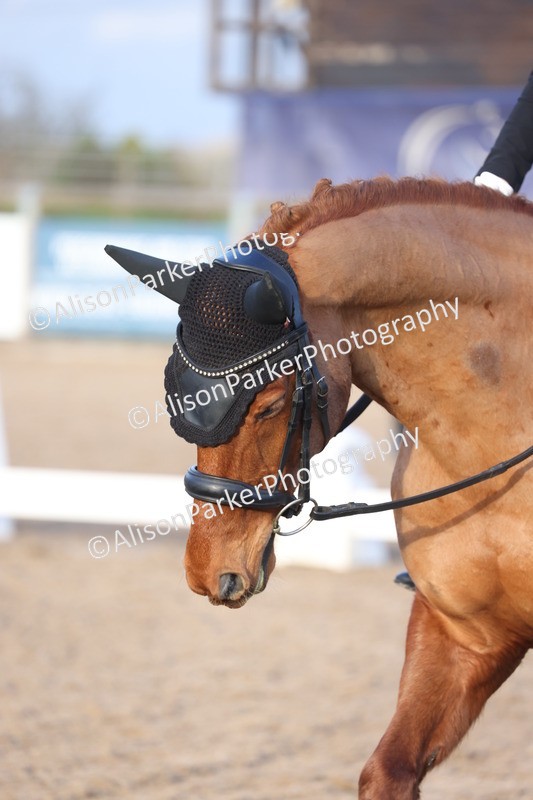 20260301-1338 - Class 14 - FEI Summer