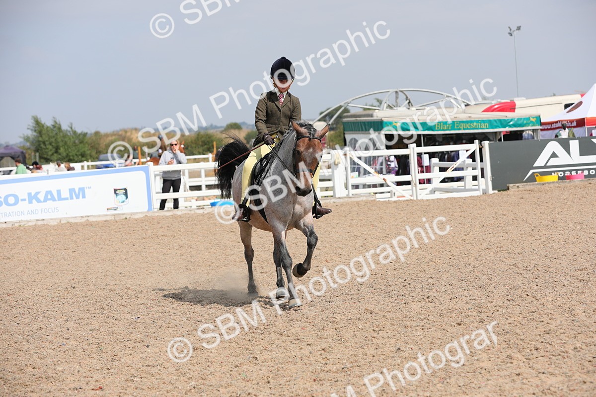 SBM_14749 - Class 310 First Ridden Pony