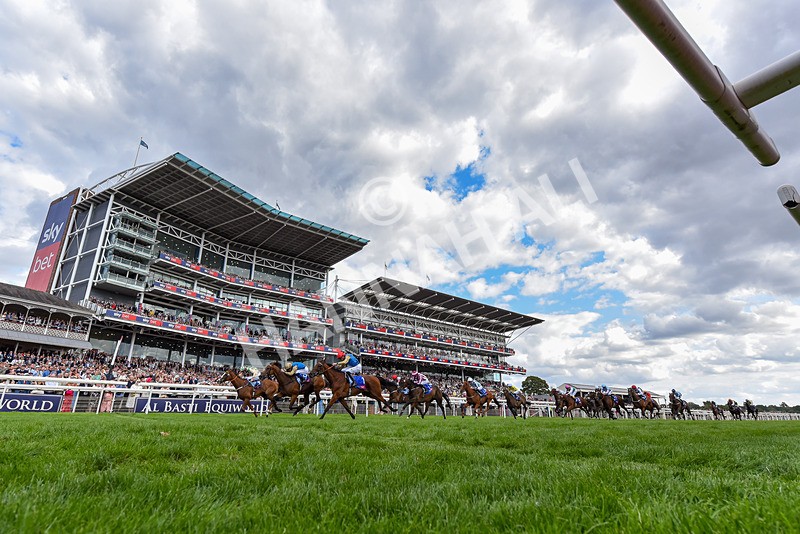 220826-Race 4-Daiquiri Bay-6110 - Race 4 15.35pm Sky Bet Ebor Handicap
