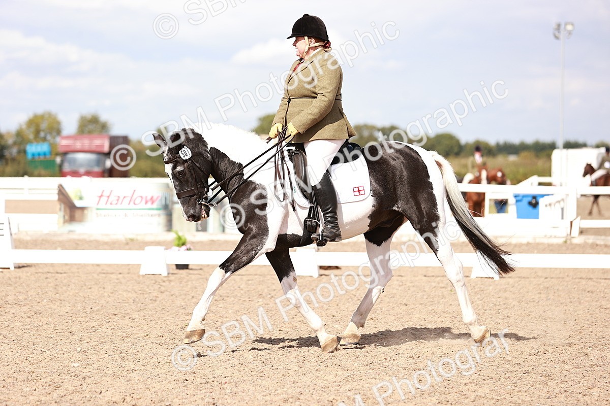 SBM_06605 - Class 39 - Medium 3