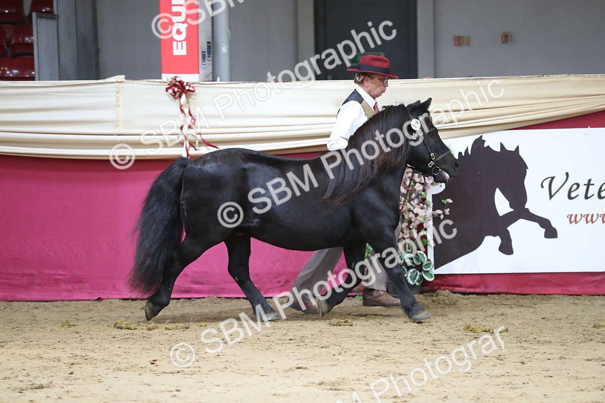 SBM_06263 - Class 9R Regional- IH Pre Vet
