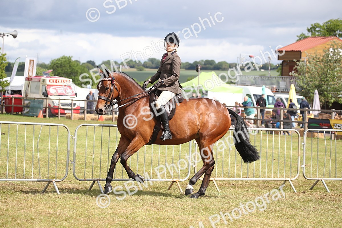 SBM_13236 - Class 95-96 - LIHS BSHA Rising Star Hack Riding Horse