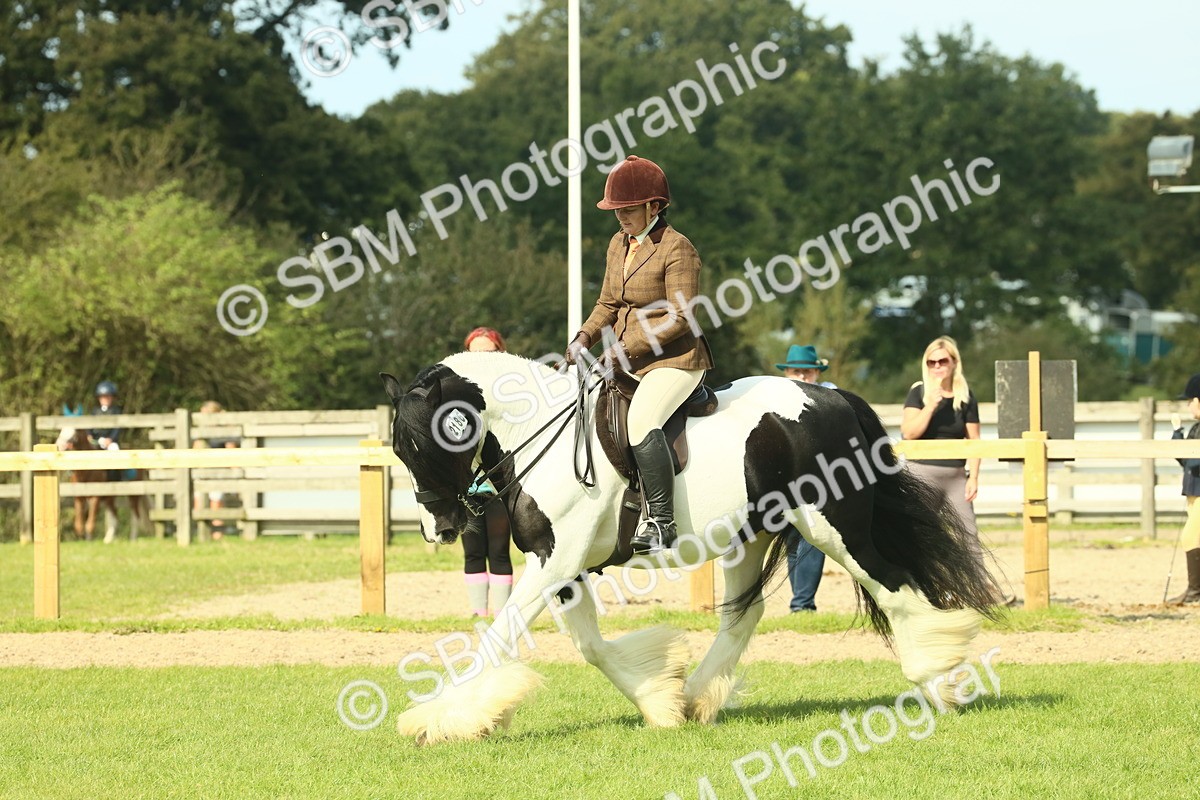 SBM_68803 - S58 - Mini Show Cob Ridden