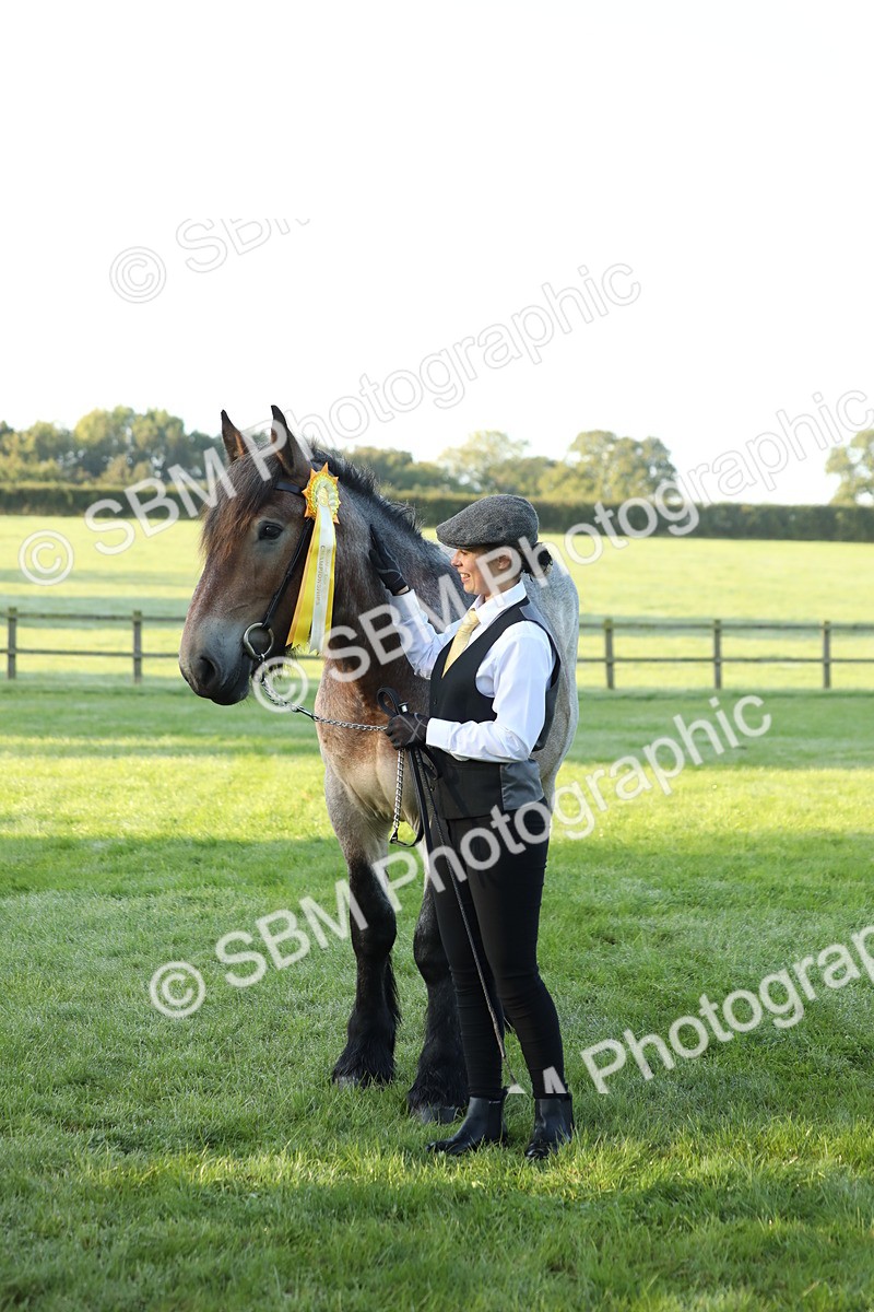SBM_57892 - S42 - Youngstock