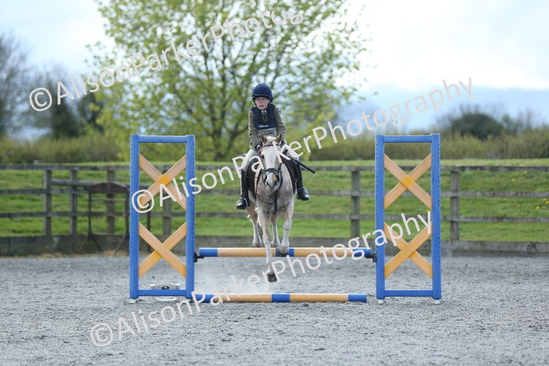 20260412-1777 - Show Jumping