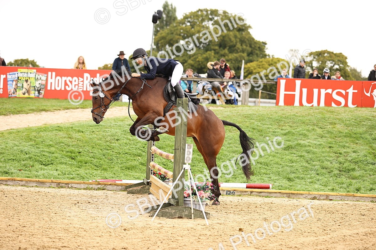 SBM_58365 - J41 - Grand Tour Horse & Pony 95cm