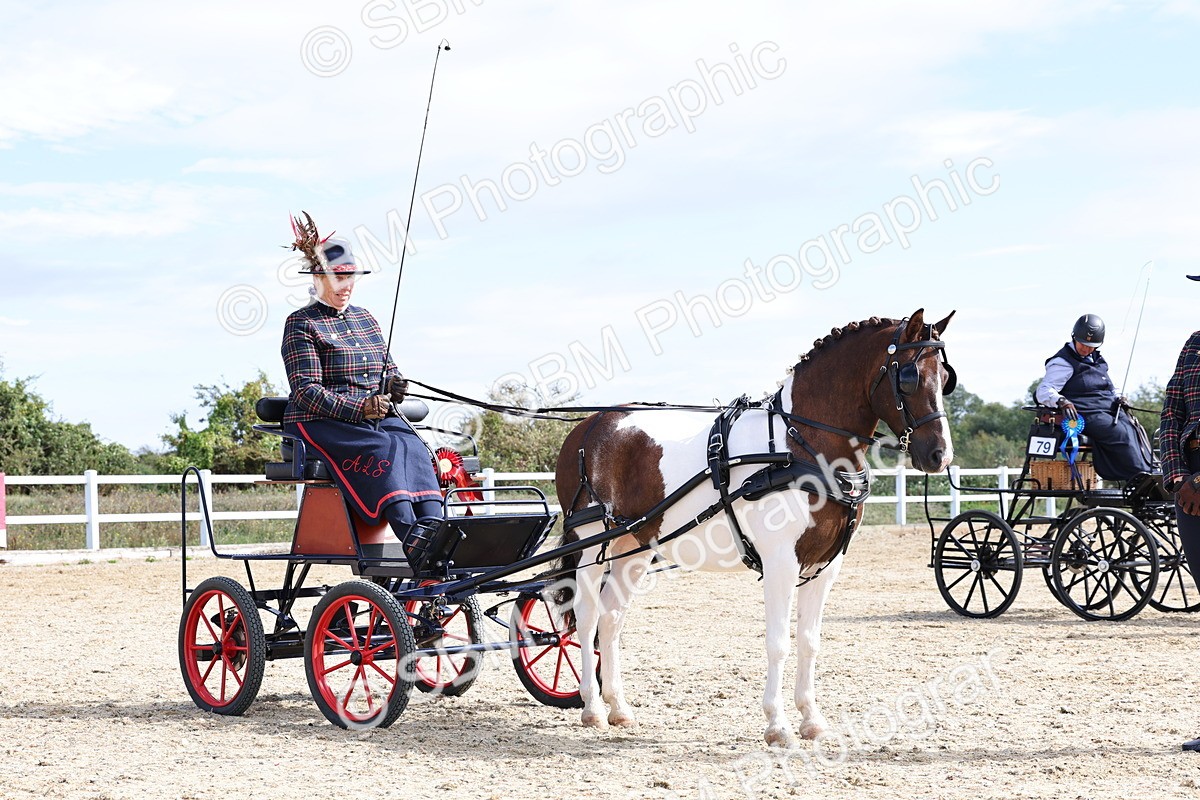 SBM_000941 - Class 8 - Novice Horse or Pony to any vehicle