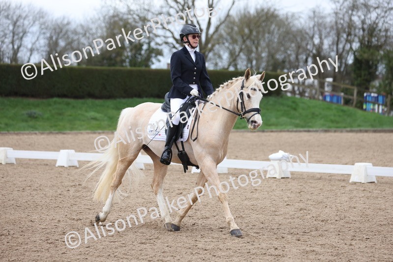 20260301-0460 - Class 3 - Novice 4