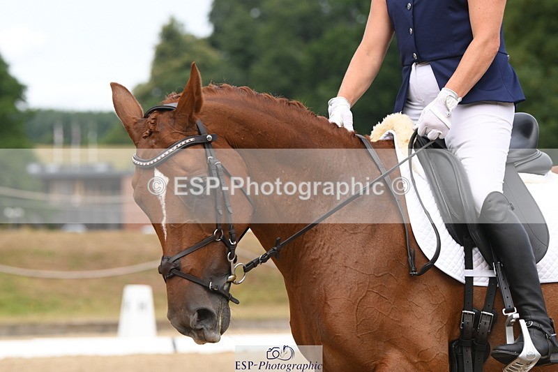 250719A-112317-04348 - 054-Dani.Wills-Greathill.Sahara