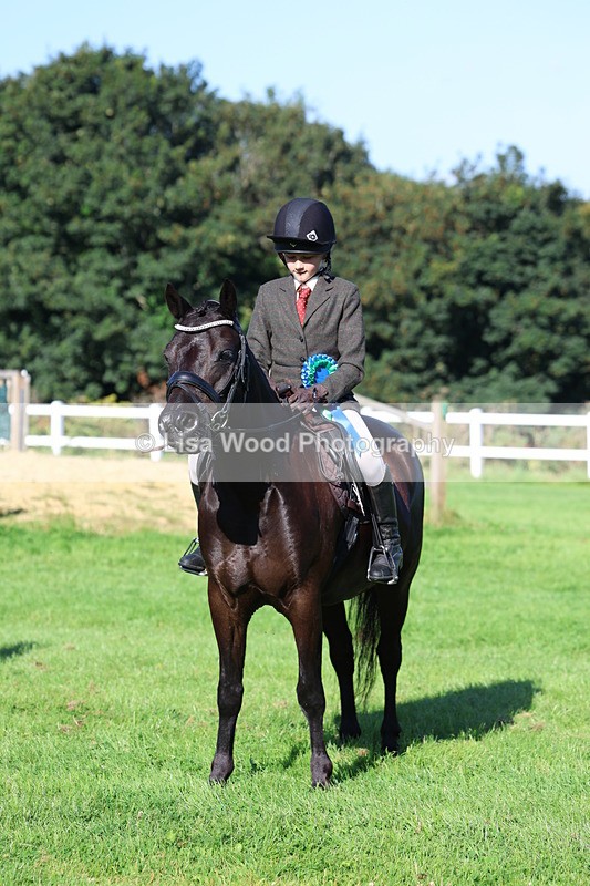 3E7A7708 - Class 1: Novice Working Hunter Pony