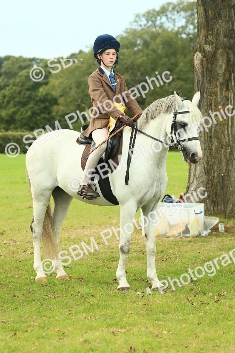 SBM_70049 - S59 - Mountain & Moorland Ridden Small Breeds