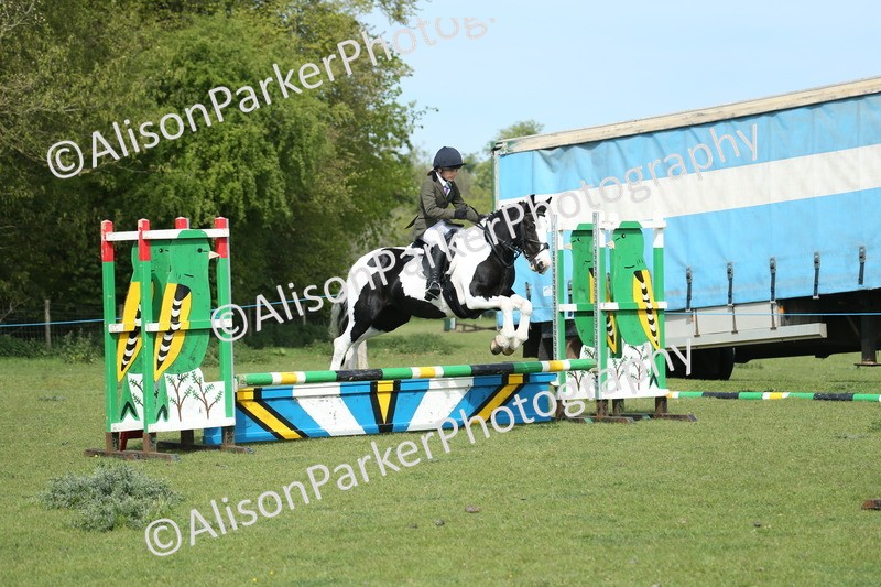 20260426-1515 - Class 14 - Novice 60cm