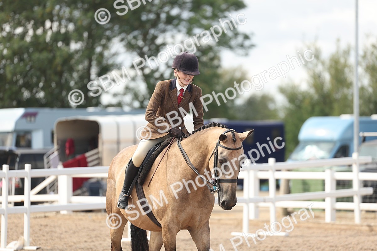SBM_14828 - Class 308 - Ridden Coloured Horse