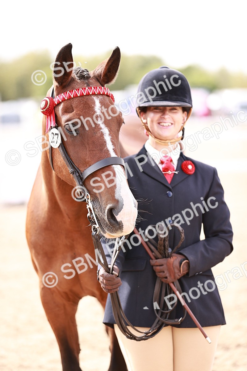SBM_14228 - Class 407 - IH Hack Riding Horse