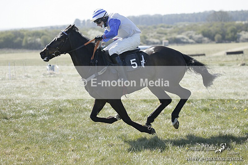 PtP 250421 178 - Larkhill Point-to-Point Racing 25/04/21