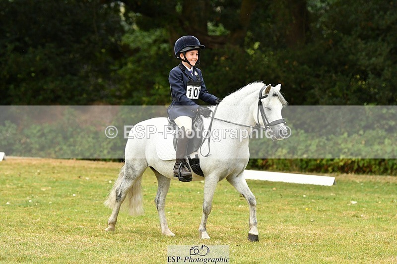 250820A-121057-05488 - 12 to 13.00