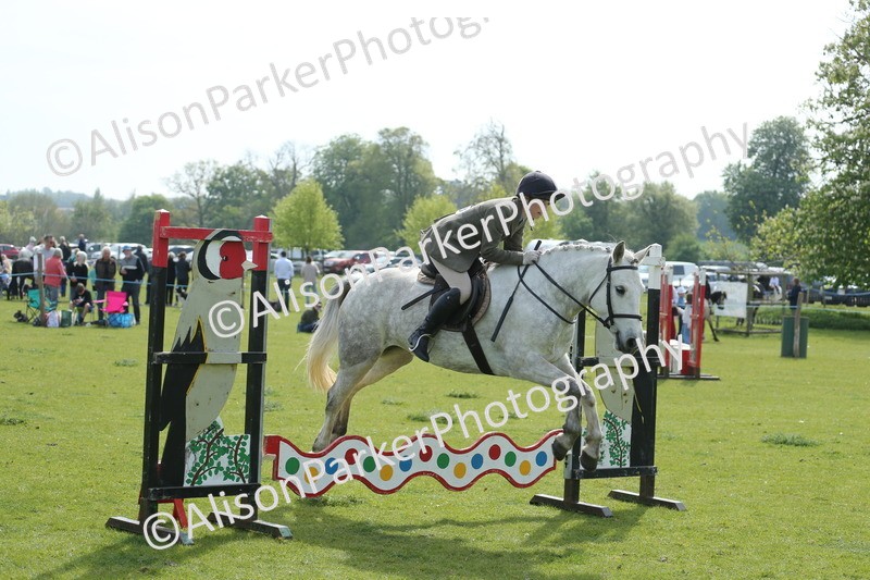 20260426-1637 - Class 14 - Novice 60cm