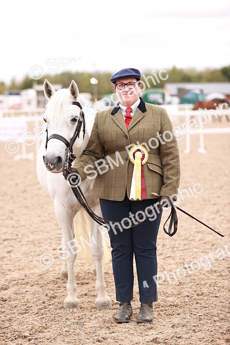 SBM_16370 - Class 413 - Best Condition - Adult